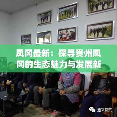 凤冈最新:探寻贵州凤冈的生态魅力与发展新篇