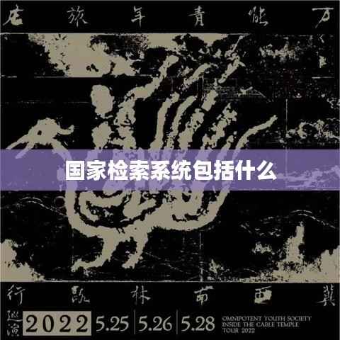 国家检索系统包括什么