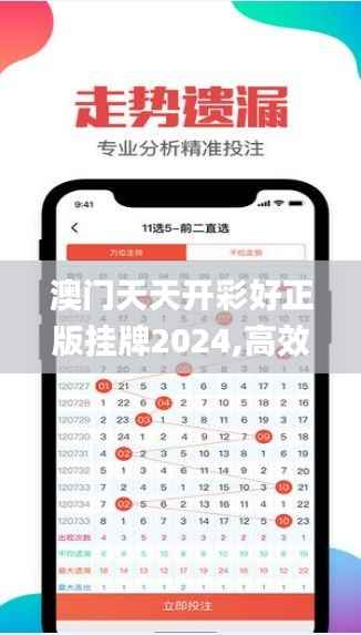 澳门天天开彩好正版挂牌2024,高效方法解析_Advance15.874