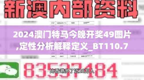 2024澳门特马今晚开奖49图片,定性分析解释定义_BT110.728