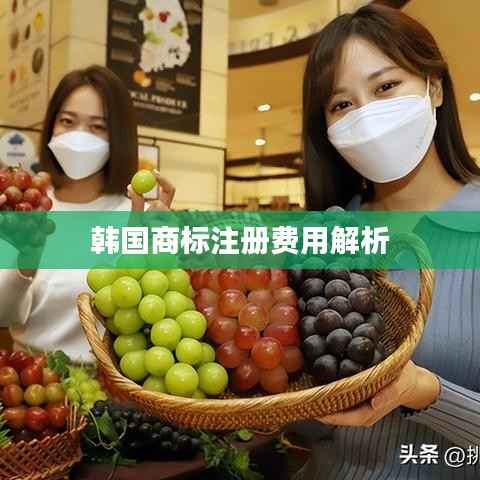 展翅高飞 第3页