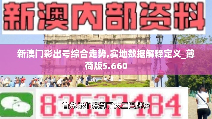 新澳门彩出号综合走势,实地数据解释定义_薄荷版5.660