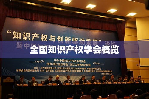 全国知识产权学会概览