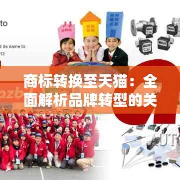 商标转换至天猫:全面解析品牌转型的关键步骤