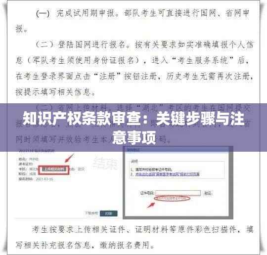知识产权条款审查:关键步骤与注意事项
