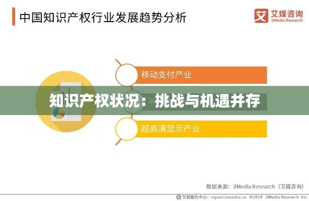 知识产权状况:挑战与机遇并存