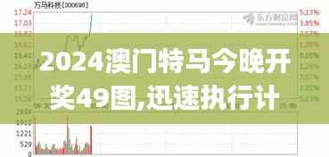 2024澳门特马今晚开奖49图,迅速执行计划设计_豪华款10.141