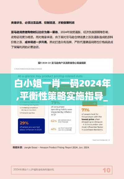 白小姐一肖一码2024年,平衡性策略实施指导_Harmony款7.526