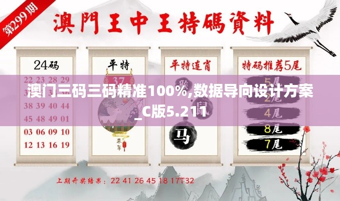 澳门三码三码精准100%,数据导向设计方案_C版5.211