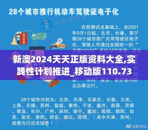 新澳2024天天正版资料大全,实践性计划推进_移动版110.735