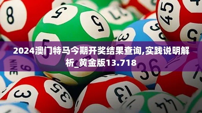 2024澳门特马今期开奖结果查询,实践说明解析_黄金版13.718