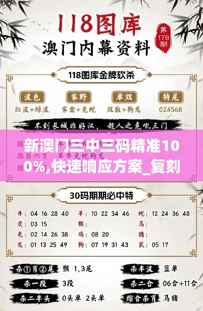 新澳门三中三码精准100%,快速响应方案_复刻款2.791
