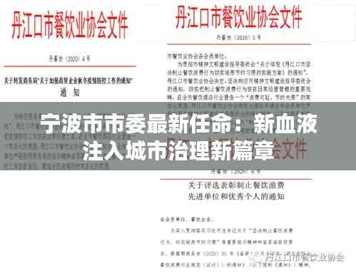 宁波市市委最新任命:新血液注入城市治理新篇章