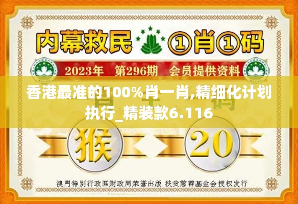 香港最准的100%肖一肖,精细化计划执行_精装款6.116