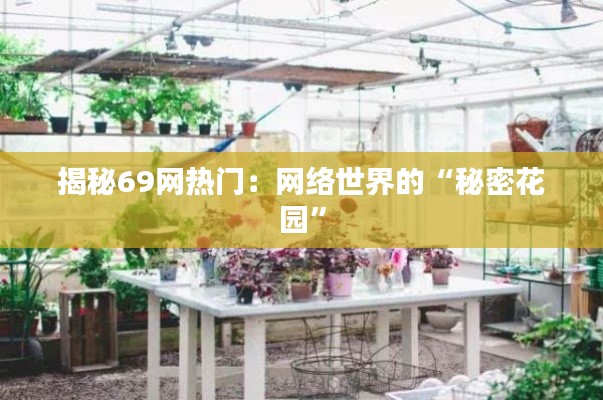 揭秘69网热门:网络世界的“秘密花园”