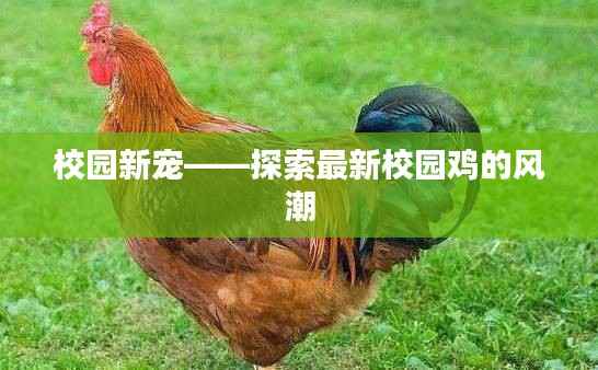 坐井观天 第4页