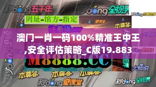 澳门一肖一码100%精准王中王,安全评估策略_C版19.883