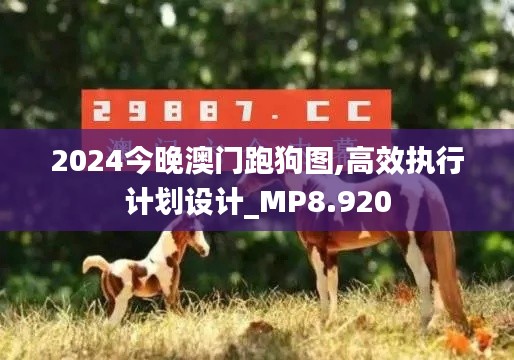 2024今晚澳门跑狗图,高效执行计划设计_MP8.920