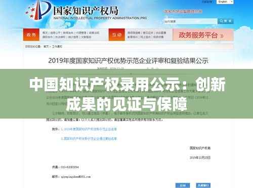 中国知识产权录用公示:创新成果的见证与保障