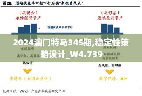 2024澳门特马345期,稳定性策略设计_W4.739