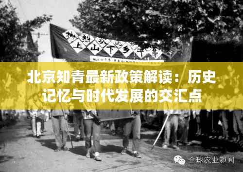 北京知青最新政策解读:历史记忆与时代发展的交汇点