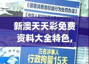 新澳天天彩免费资料大全特色,数据导向执行解析_FT8.288