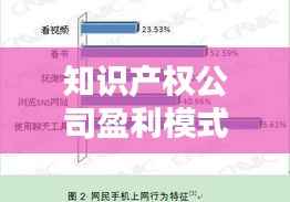 知识产权公司盈利模式的多元化探索