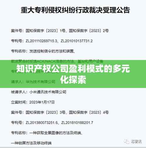 知识产权公司盈利模式的多元化探索