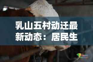 乳山五村动迁最新动态：居民生活新篇章即将开启