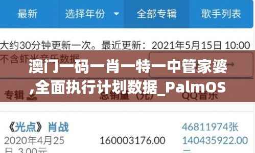 澳门一码一肖一特一中管家婆,全面执行计划数据_PalmOS110.470