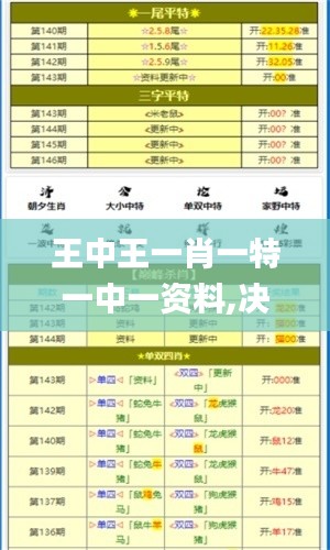 王中王一肖一特一中一资料,决策资料解析说明_1440p2.349