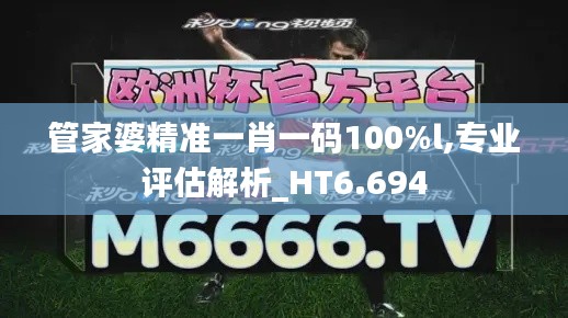 管家婆精准一肖一码100%l,专业评估解析_HT6.694