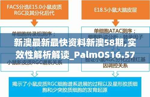 新澳最新最快资料新澳58期,实效性解析解读_PalmOS16.575