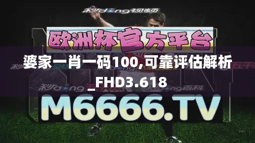 婆家一肖一码100,可靠评估解析_FHD3.618