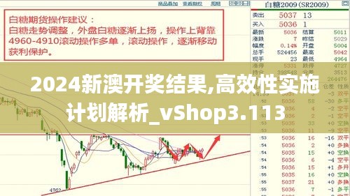 2024新澳开奖结果,高效性实施计划解析_vShop3.113