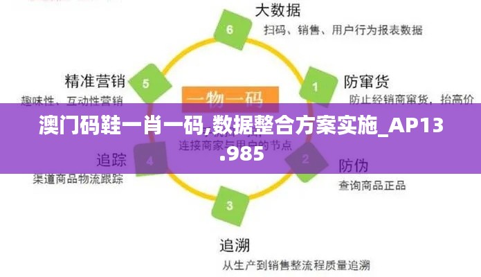 澳门码鞋一肖一码,数据整合方案实施_AP13.985