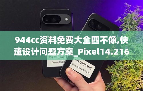 944cc资料免费大全四不像,快速设计问题方案_Pixel14.216