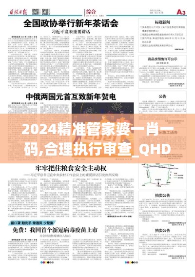 2024精准管家婆一肖一码,合理执行审查_QHD4.828