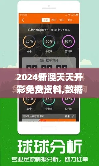 2024新澳天天开彩免费资料,数据导向实施_经典款10.586