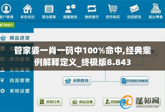 管家婆一肖一码中100%命中,经典案例解释定义_终极版8.843