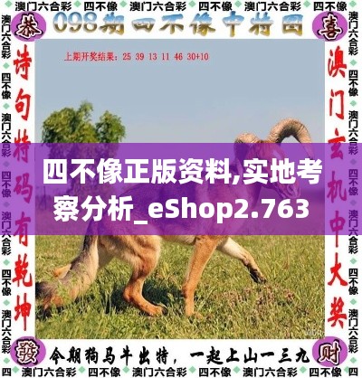 四不像正版资料,实地考察分析_eShop2.763