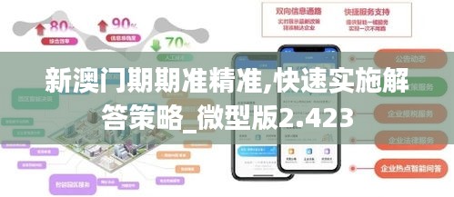 新澳门期期准精准,快速实施解答策略_微型版2.423