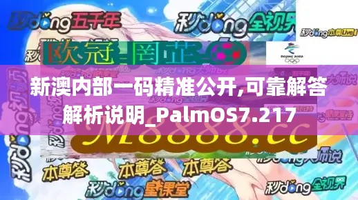 新澳内部一码精准公开,可靠解答解析说明_PalmOS7.217