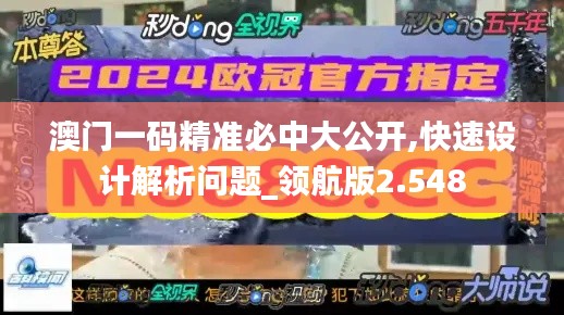 澳门一码精准必中大公开,快速设计解析问题_领航版2.548