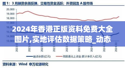 2024年香港正版资料免费大全图片,实地评估数据策略_动态版3.665