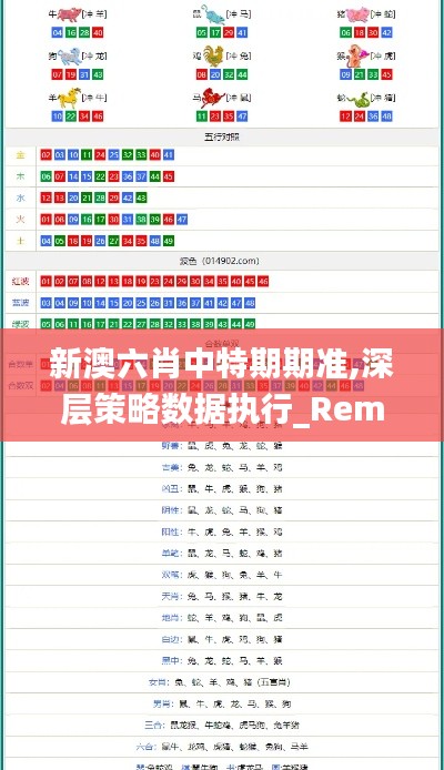 新澳六肖中特期期准,深层策略数据执行_RemixOS8.557