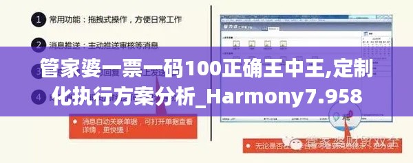 管家婆一票一码100正确王中王,定制化执行方案分析_Harmony7.958