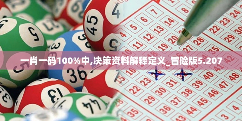 一肖一码100%中,决策资料解释定义_冒险版5.207