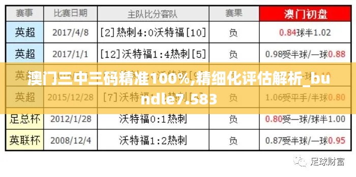 澳门三中三码精准100%,精细化评估解析_bundle7.583