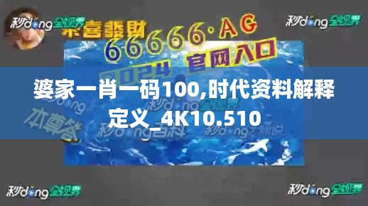 婆家一肖一码100,时代资料解释定义_4K10.510